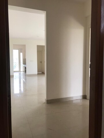 Room in 3 BHK Apartment at BPTP Park 81, Sector 81 – for Rent