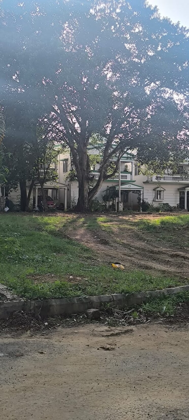 Garden, apna-aangan  1200 Sq.Yd. Plot In Jigani Bangalore 8835953