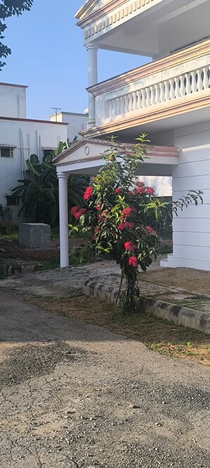  Plot – Exterior View View at Apna Aangan, Jigani - for Sale