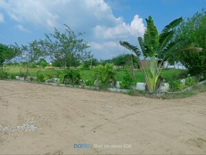 Plot Area in  Plot at Agra Expressway – for Sale