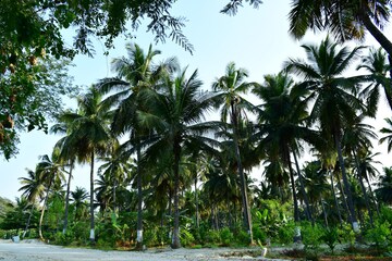  Plot – Exterior View View at Aldona - for Sale