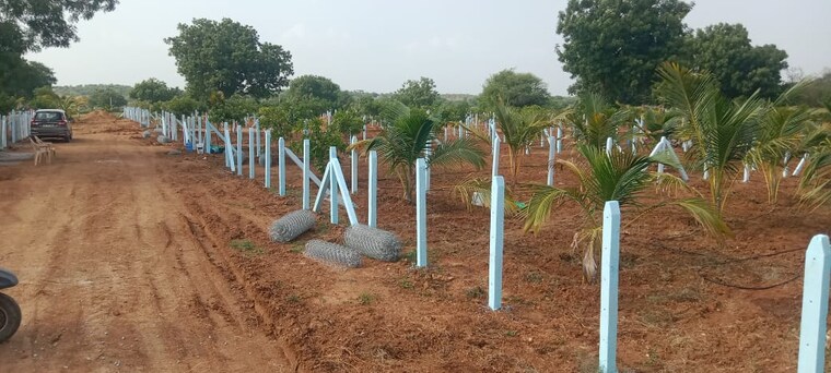 Garden, keesara  243 Sq.Yd. Plot In Keesara Hyderabad 8836707