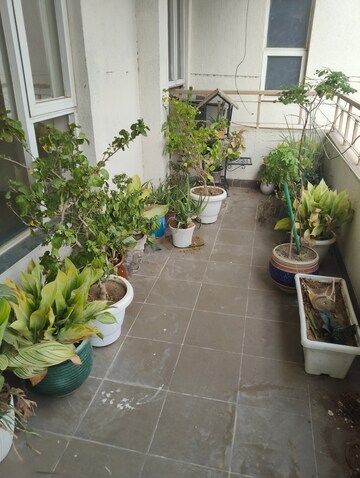 Balcony in 3.5 BHK Apartment at The Legend One, Sector 57 – for Rent