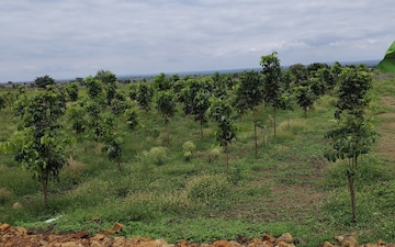 Plot For Sale in Narayankhed
