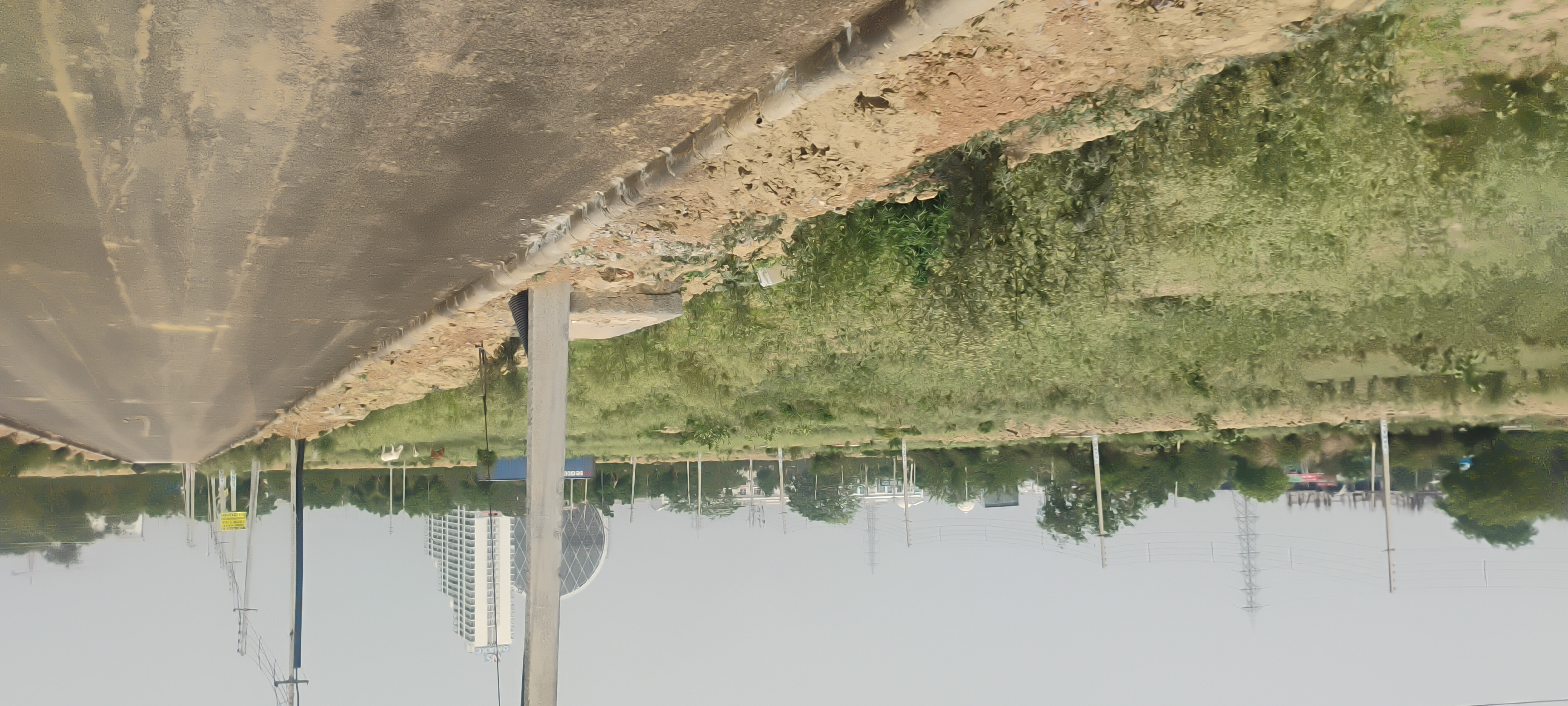 Plot For Sale in Rps Palm Drive Sector 88 