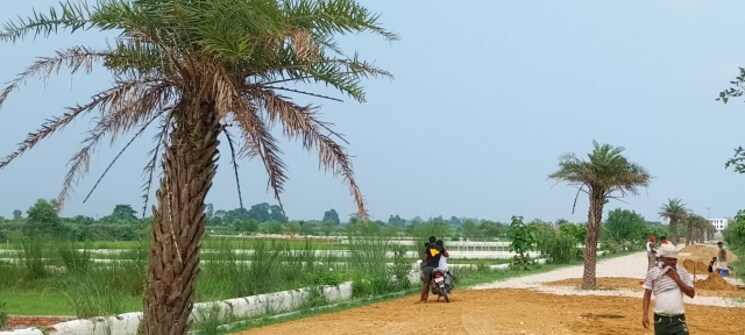 Garden, budheshwar  1500 Sq.Ft. Plot In Budheshwar Lucknow 8837070