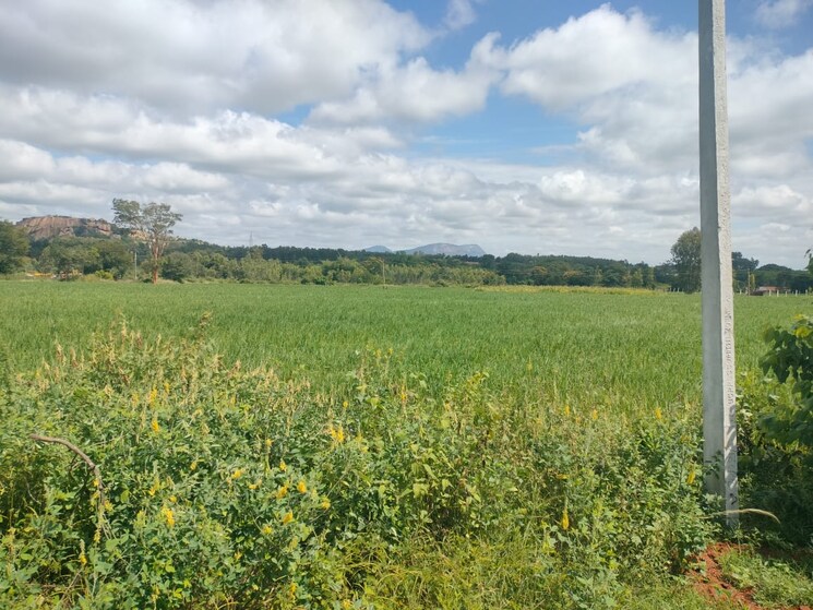 undefined, devanahalli road  150 Sq.Yd. Plot In Devanahalli Road Bangalore 8837053