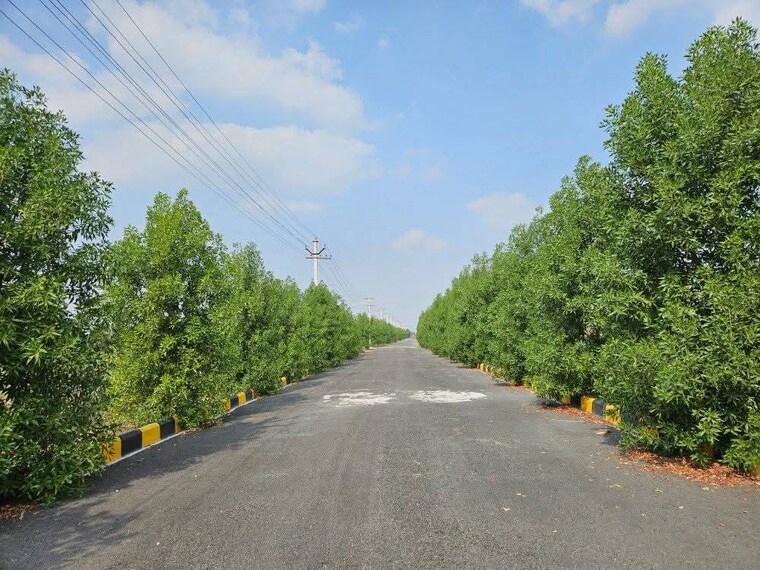 Garden, gaur-yamuna-city-gaur-suites  60 Sq.Yd. Plot In Gaur Yamuna City Greater Noida 8837133