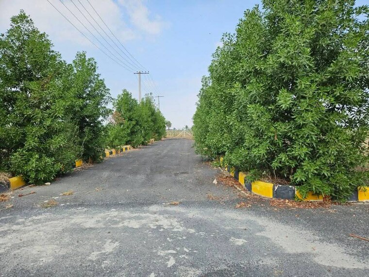 Garden, gaur-yamuna-city-gaur-suites  60 Sq.Yd. Plot In Gaur Yamuna City Greater Noida 8837133