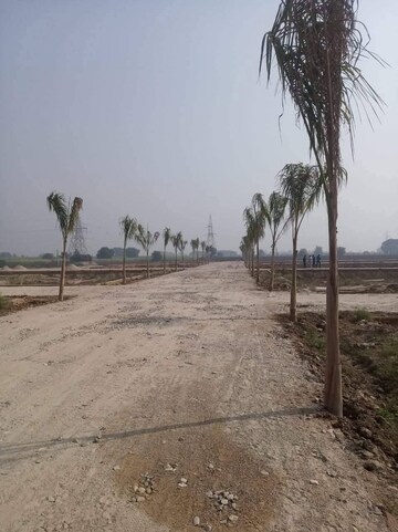 Plot Area in  Plot at SS Shri Ram Vatika, Ram Vatika Colony – for Sale