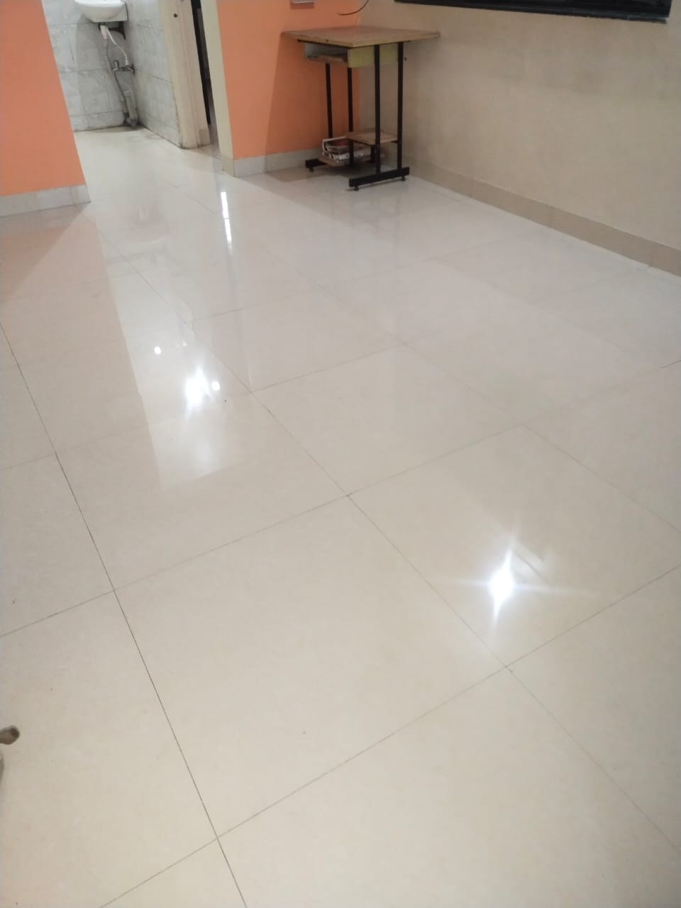 1 Rk  320 Sq.Ft. Apartment in Sai Vihar Karve Nagar