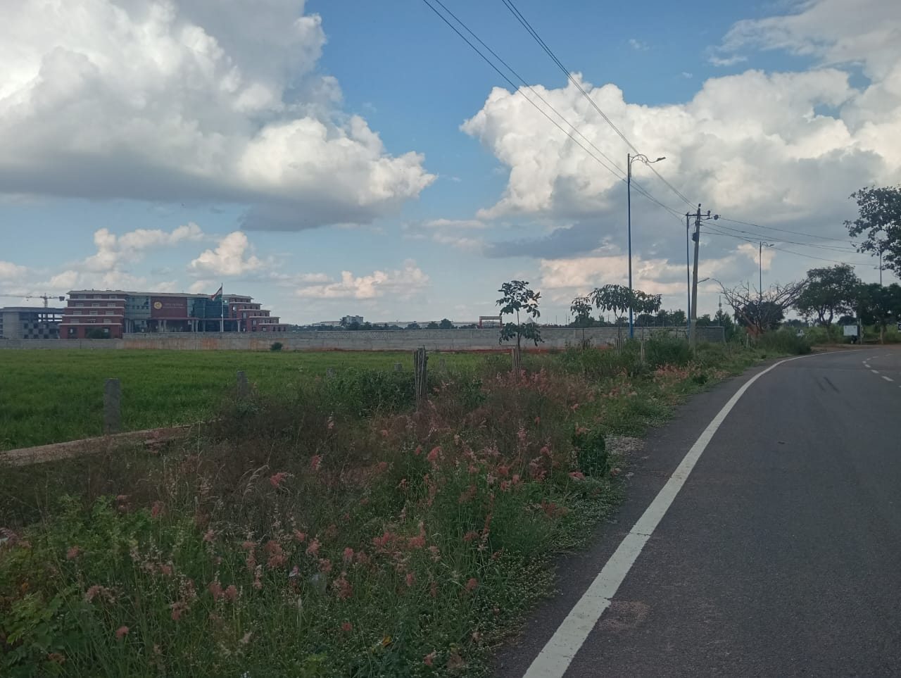 Plot For Sale in Doddaballapura