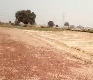 Plot Area in  Plot at Sultanpur – for Sale
