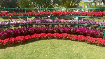 3 BHK Apartment – Garden View at Central Park Flower Valley Aqua Front Towers, Sohna Sector 33 - for Rent