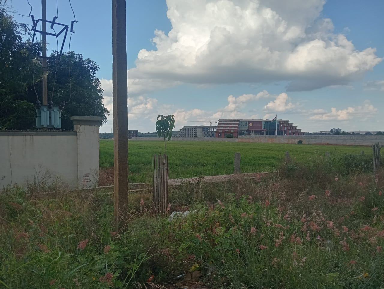 Plot For Sale in Plot 2400sft Sahakar Naga