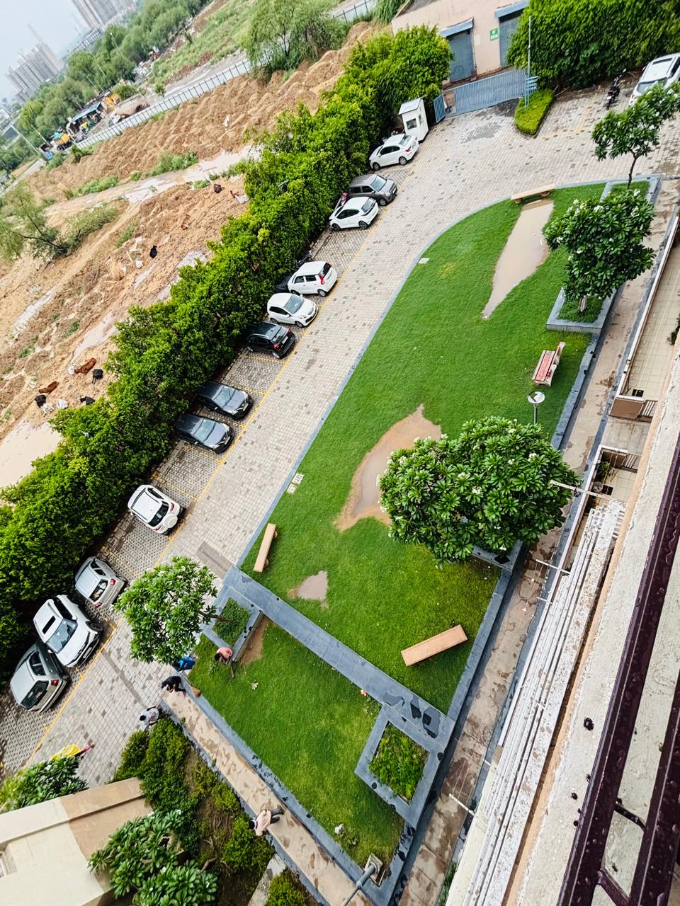 3 BHK + Pooja Room Apartment For Rent in Tulip Orange