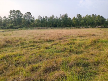  Land For Sale in Bilhari