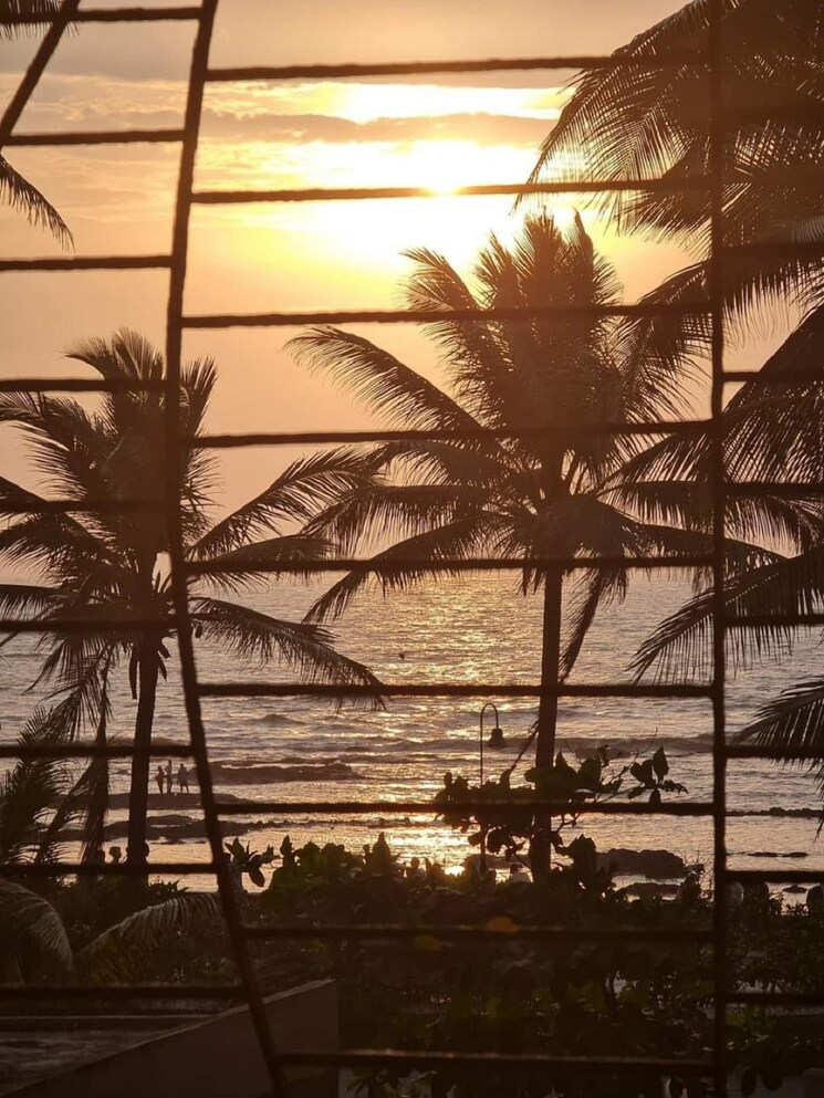 Balcony, bandra west 2 Bedroom 750 Sq.Ft. Apartment In Bandra West Mumbai 8838526