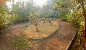 Plot Area in  Plot at Green City Dukes County, Kondakal – for Sale