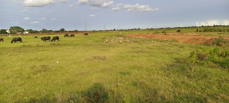 undefined, patrapada  1302 Sq.Ft. Plot In Patrapada Bhubaneswar 8839778