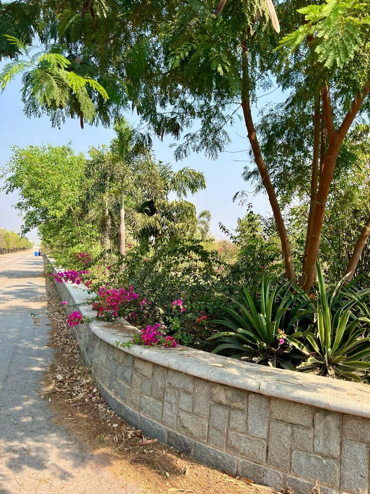 Exterior View, aduri-golden-heights  200 Sq.Yd. Plot In Shadnagar Hyderabad 8346442