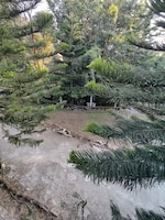 5 BHK + Extra Room 800 Sq.Yd. Independent House in Independent House 