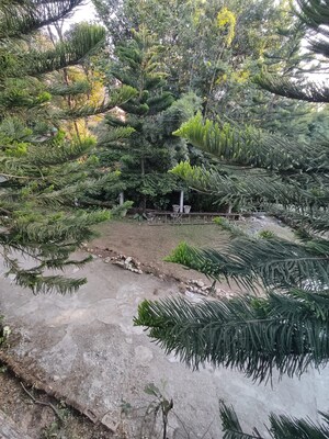 5 BHK Independent House For Sale in Sinaula