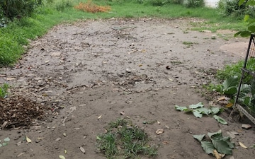 Plot For Sale in Sector 38