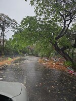 800 Sq.Yd. Plot in Ansal Sushant Apartments