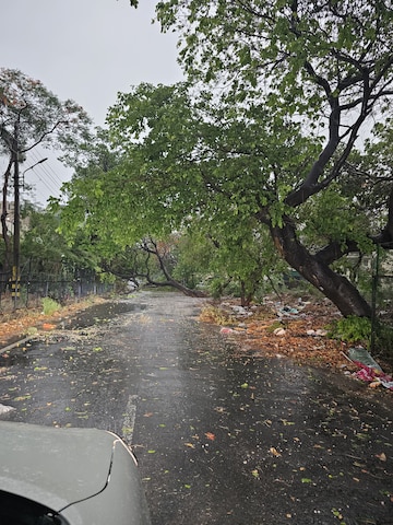  Plot For Sale in Ansal Sushant Apartments, Sushant Lok I