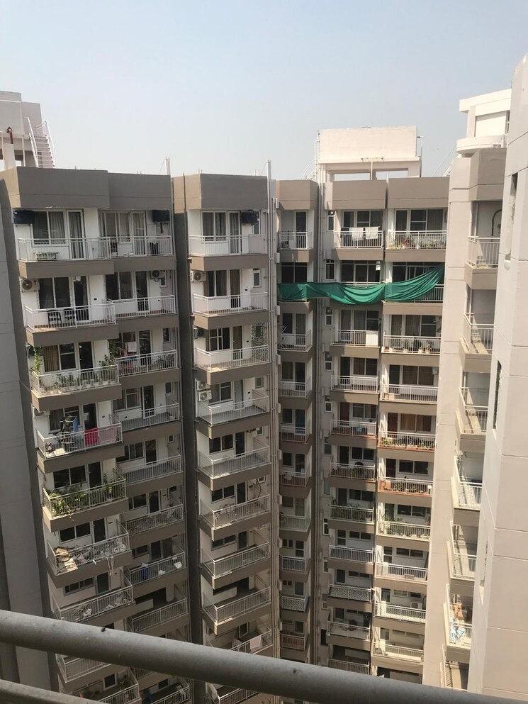 Exterior View, the-grand 3.5 Bedroom 3500 Sq.Ft. Builder Floor In Sector 52 Gurgaon 8840139