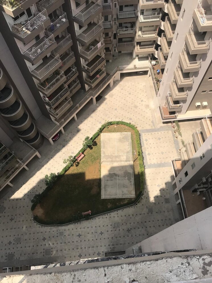 Exterior View, the-grand 3.5 Bedroom 3500 Sq.Ft. Builder Floor In Sector 52 Gurgaon 8840139