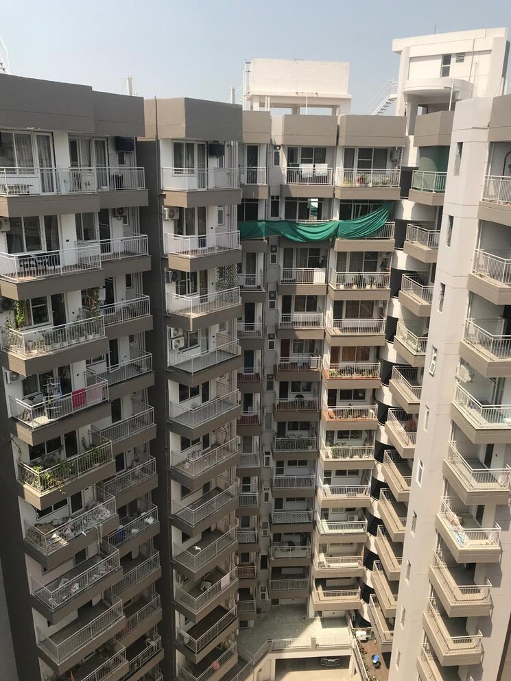 Exterior View, the-grand 3.5 Bedroom 3500 Sq.Ft. Builder Floor In Sector 52 Gurgaon 8840139