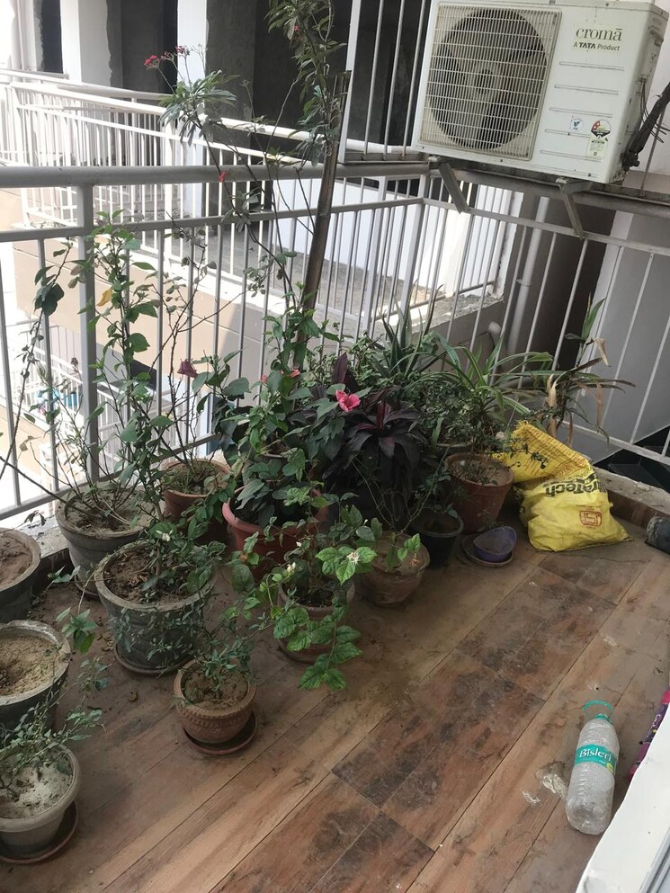 Balcony, the-grand 3.5 Bedroom 3500 Sq.Ft. Builder Floor In Sector 52 Gurgaon 8840139