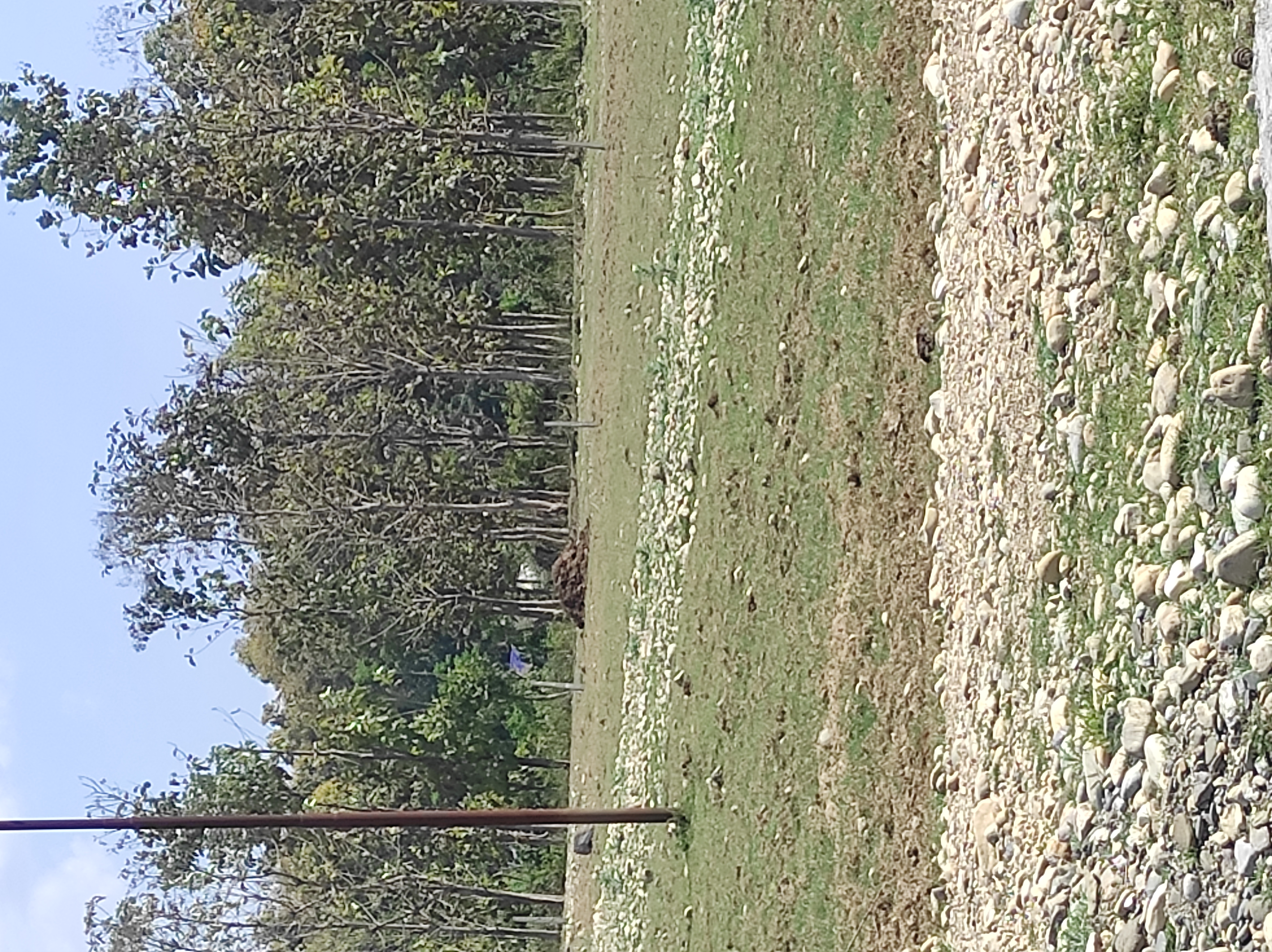 Plot For Sale in Van Vihar Phase 2