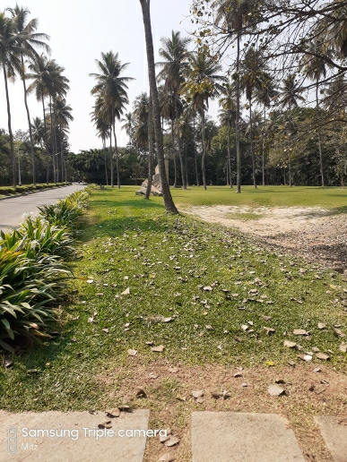 5 BHK + Servant Room,Extra Room 10500 Sq.Ft. Villa in Epsilon Villa Plot