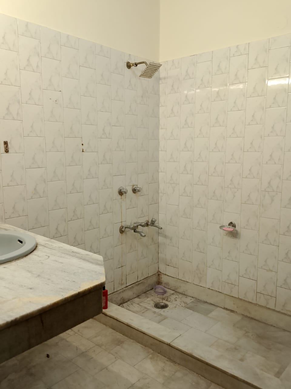 4 BHK + Pooja Room 7000 Sq.Ft. Apartment in Ambience Caitriona