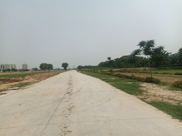 Plot Area in  Plot at Mansha Orchid, Sector 110 – for Sale