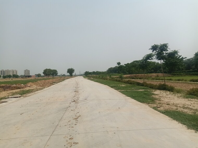 undefined, mansha-orchid  136 Sq.Yd. Plot In Sector 110 Faridabad 8840332