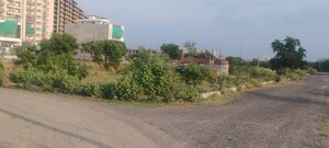 Plot Area in  Plot at Triveni Galaxy, Sector 78 – for Sale