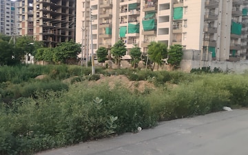 Plot For Sale in Triveni Oxygen, Sector 78