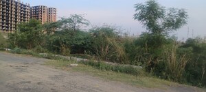 Plot Area in  Plot at Sector 78 – for Sale