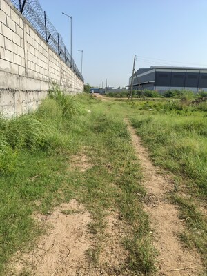  Industrial Plot For Sale in Pirthla