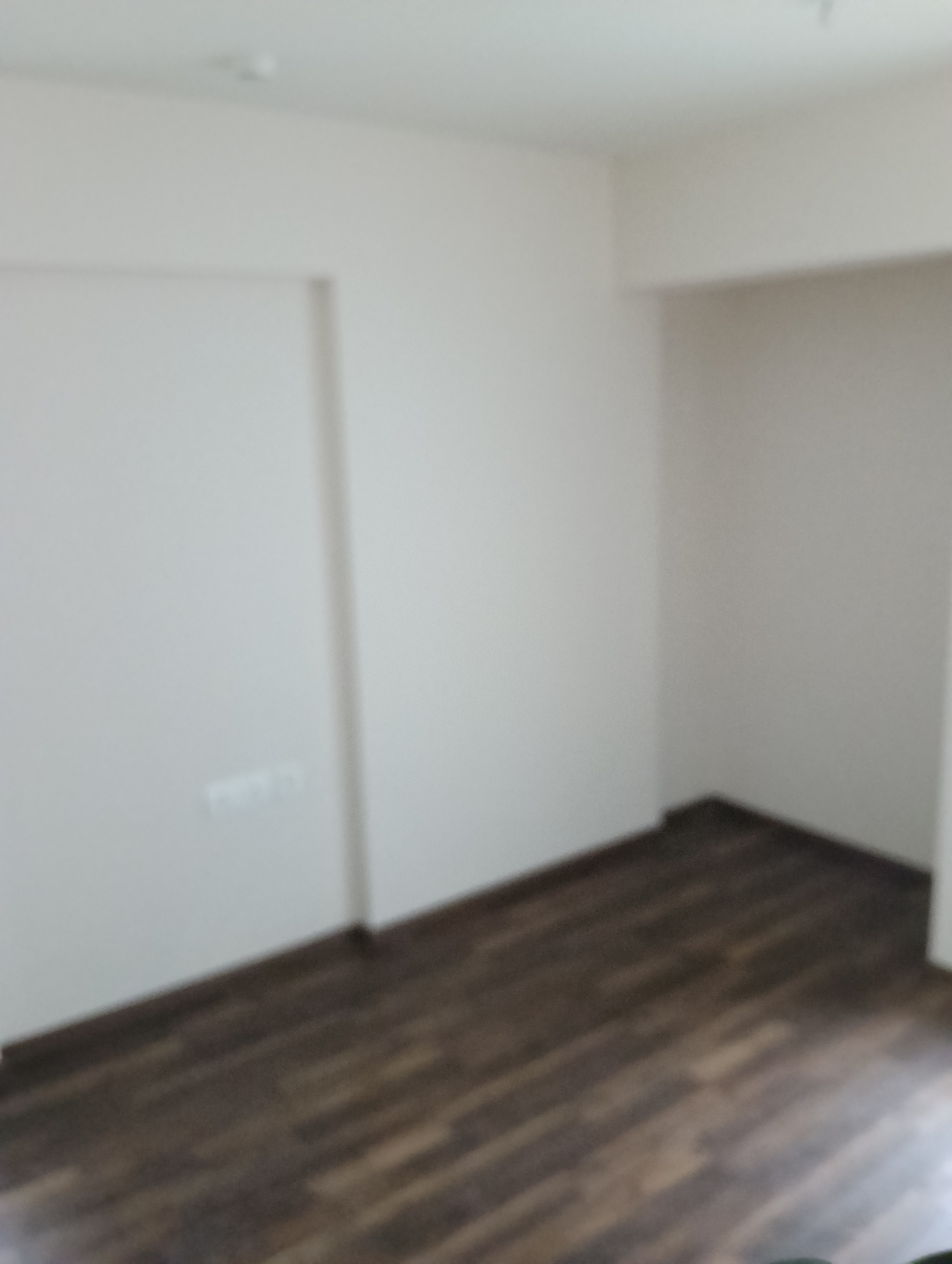 1.5 BHK Apartment For Rent in Piramal Vaikunth