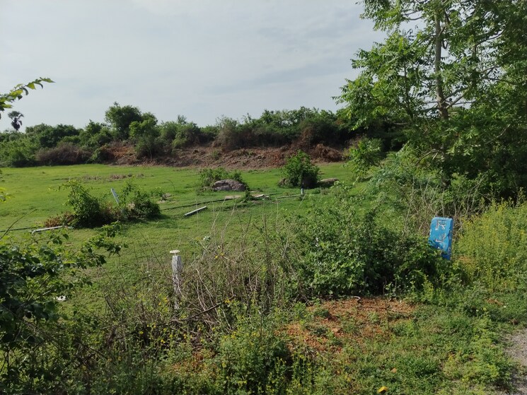 undefined, batasingaram  150 Sq.Yd. Plot In Batasingaram Hyderabad 8840626