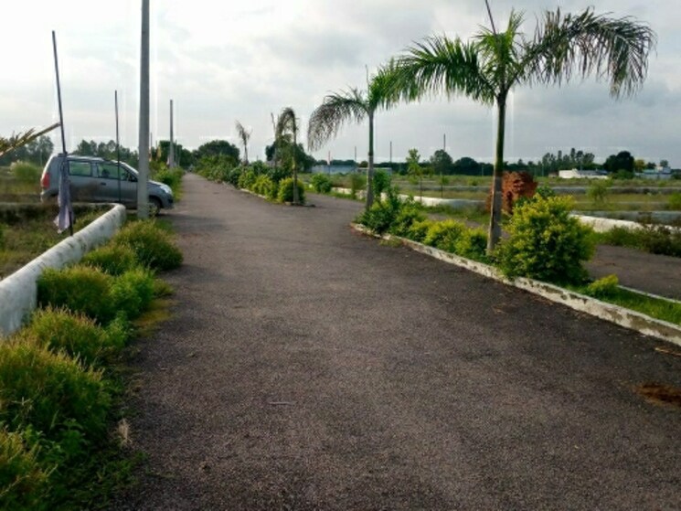 Garden, amausi  1500 Sq.Ft. Plot In Amausi Lucknow 8840667