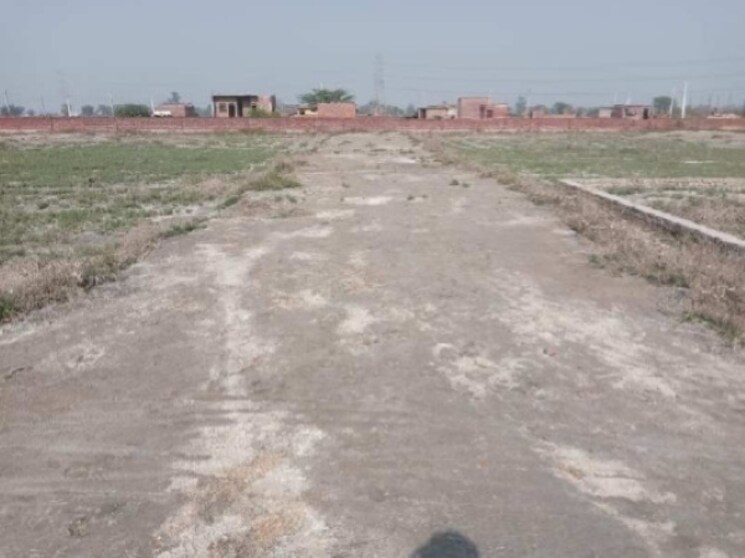 undefined, sector 144  100 Sq.Yd. Plot In Sector 144 Noida 8835033