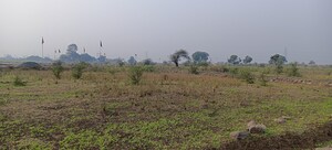 Plot Area in  Plot at Nara – for Sale