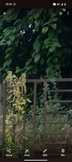 300 Sq.Mt. Plot in RWA Apartments