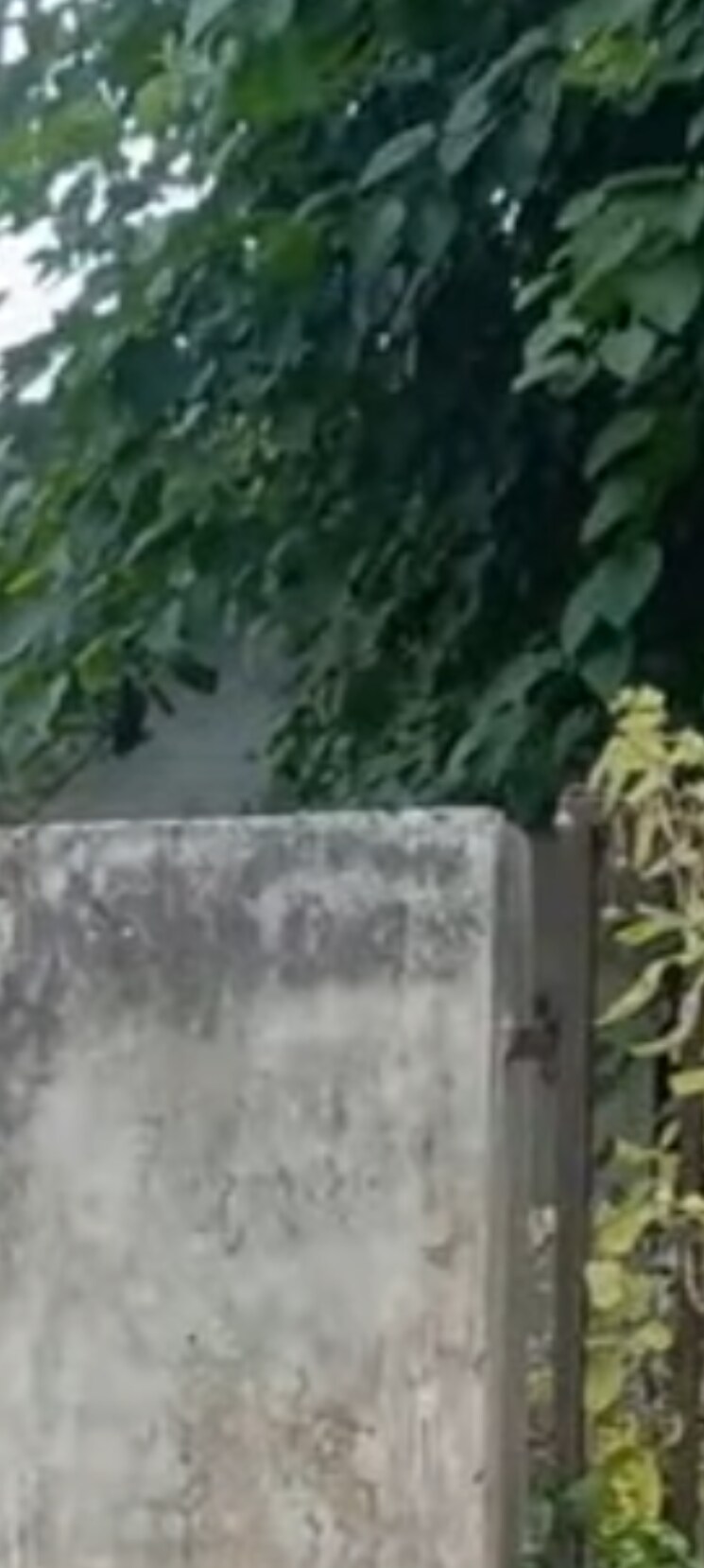 Exterior View, rwa-apartments  300 Sq.Mt. Plot In Sector 31 Noida 8840907